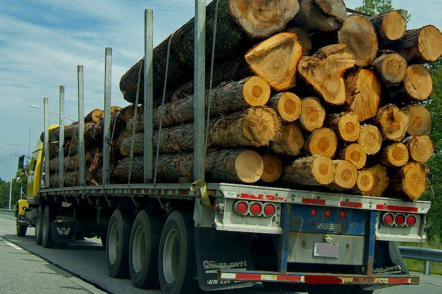 Overloaded truck accident -Logging semi Washington State Law